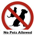 No Pets